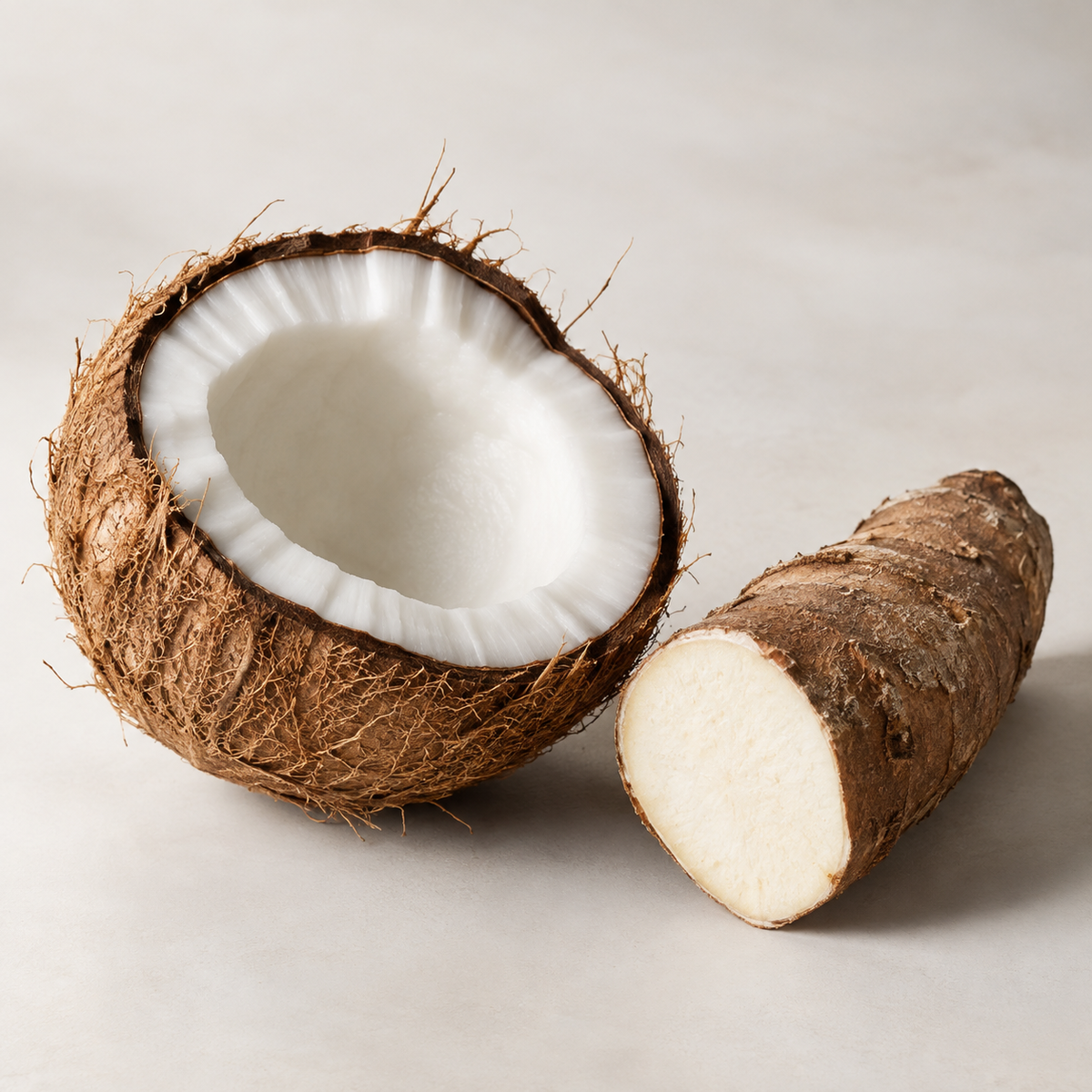 Coconut and cassava, illustrating the plant sources of the NutraLube Organic anti-caking agent